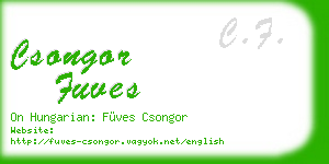 csongor fuves business card